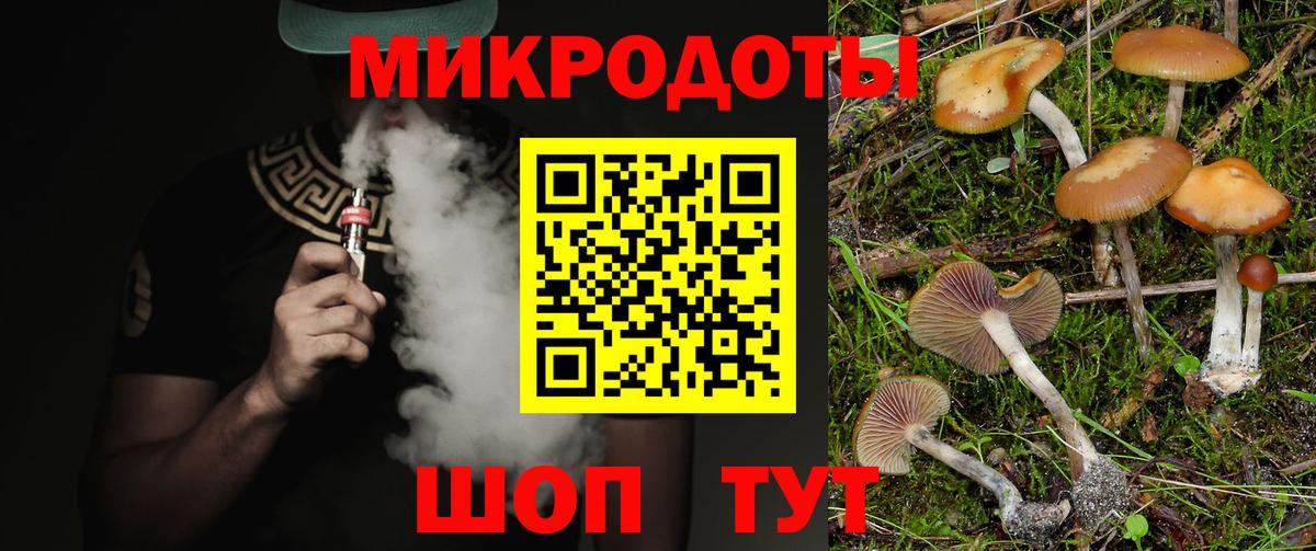 Псилоцибиновые грибы Psilocybine cubensis  Вход с VPN  Камышлов 